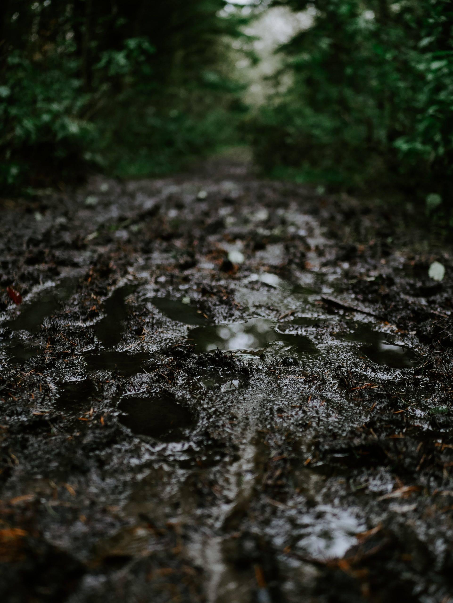 Enn lerigt och blött endurospår i skogen