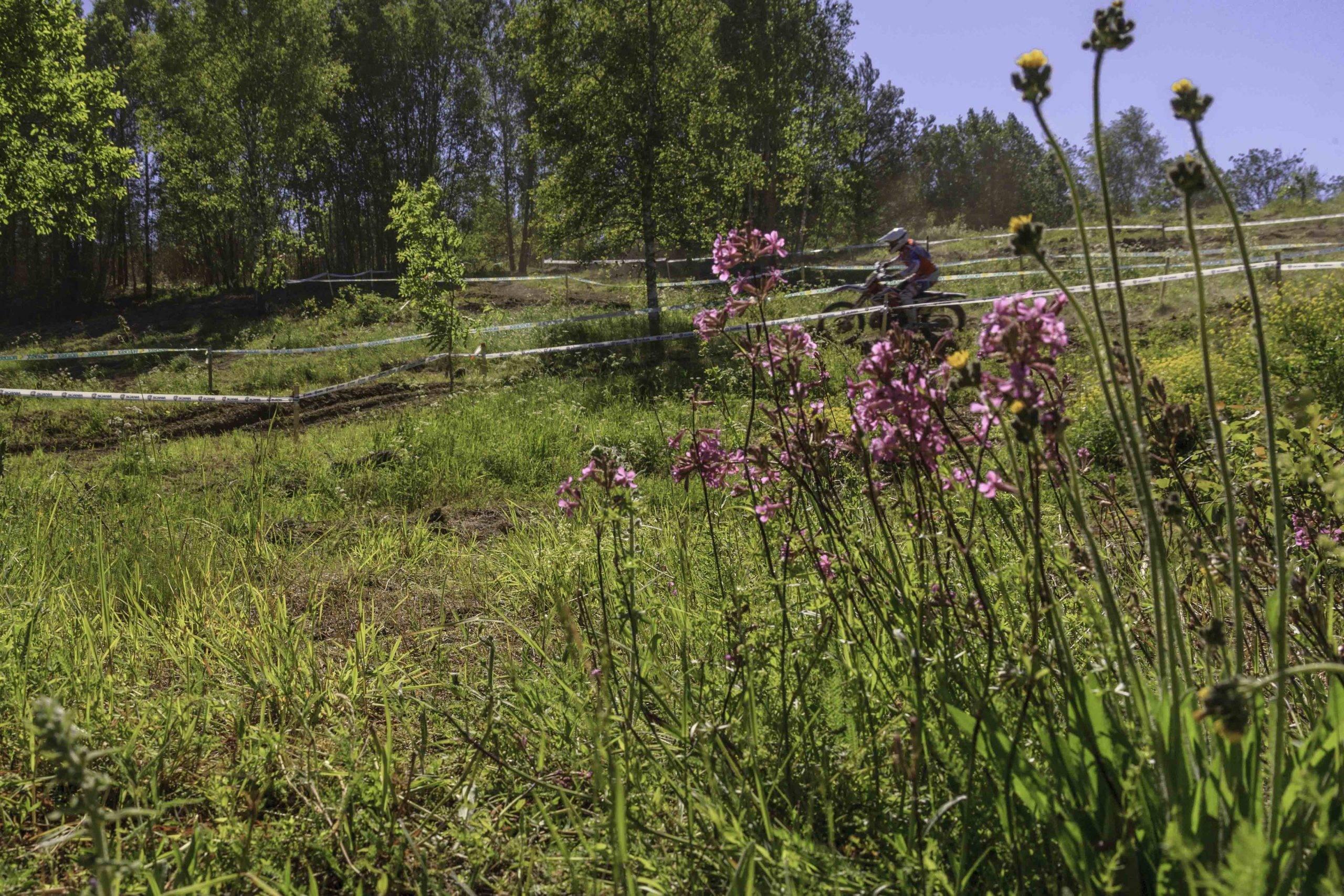 En bild på blommor som kommer upp ur gräs. I bakgrunden en crossbana och en förare. Fotograf: Nils Ryrholm
